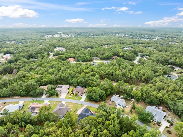 aerial perspective of suburban area featuring a forest