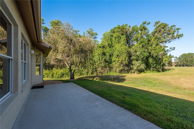 view of yard featuring a patio area