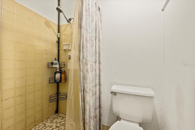 3638 Bigelow Dr, Holiday, FL 34691 - photo 19