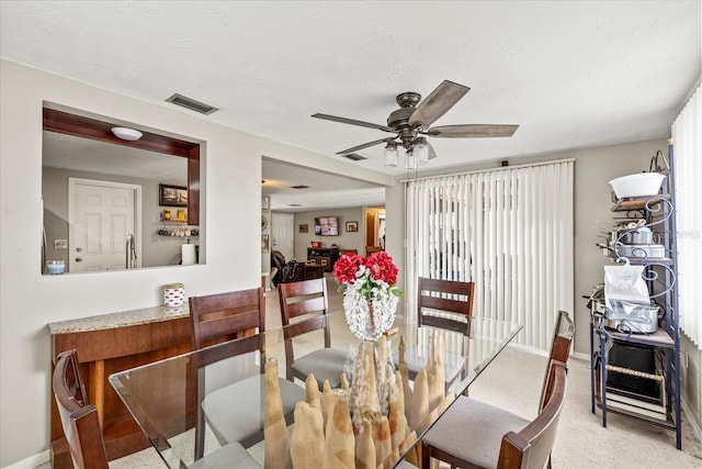 3638 Bigelow Dr, Holiday, FL 34691 - photo 10