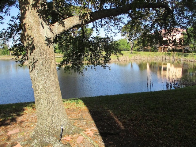 water view