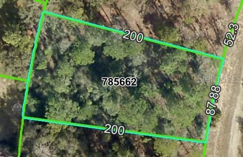 13439 Cormorant Rd, Brooksville, FL 34614