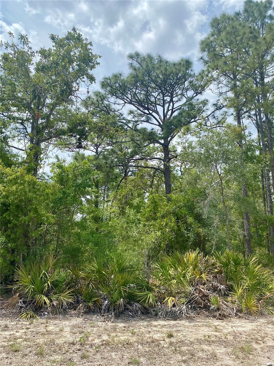 13439 Cormorant Rd, Brooksville, FL 34614