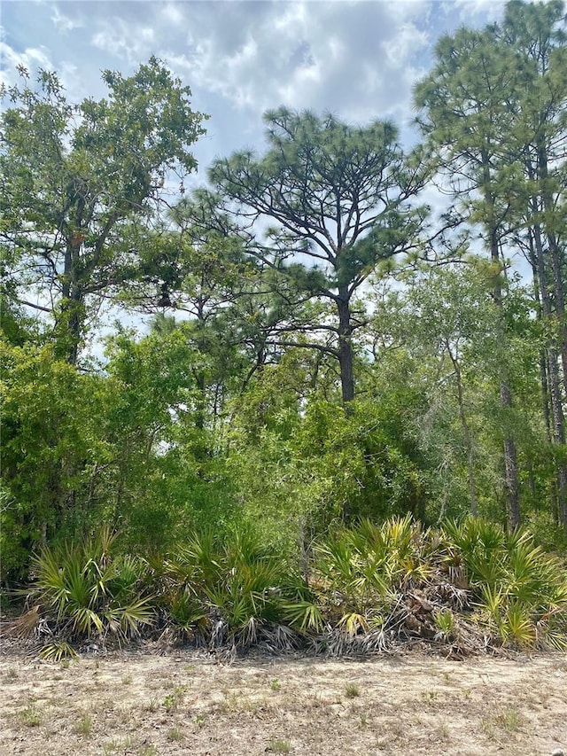 13439 Cormorant Rd, Brooksville, FL 34614