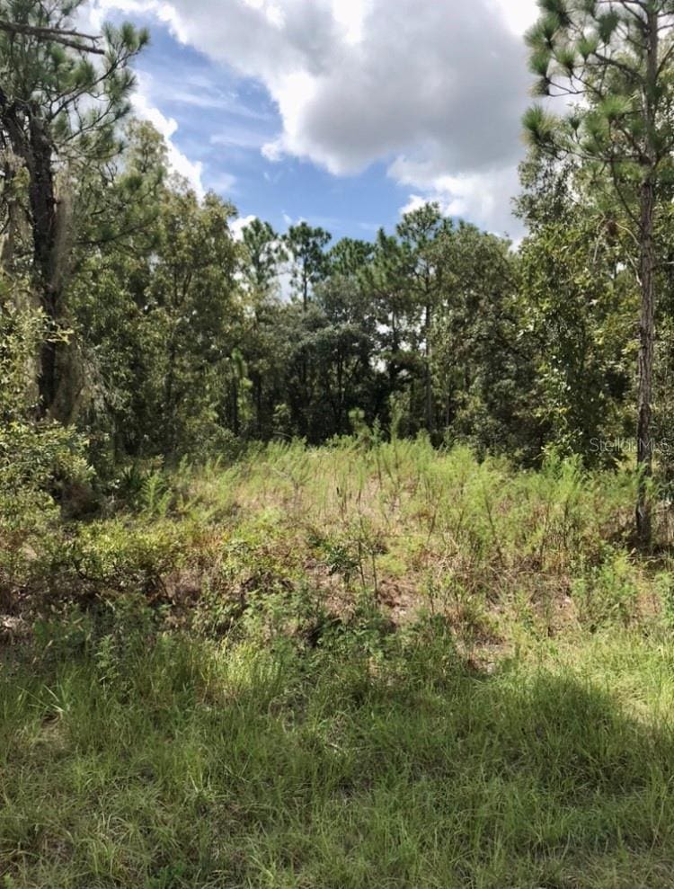 14040 Ruffed Grouse Rd, Brooksville, FL 34614