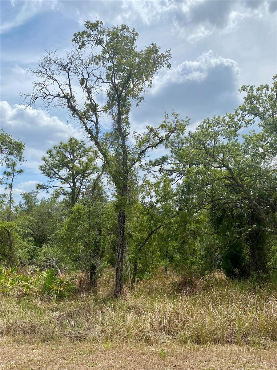 12440 Meinert Ave, Brooksville, FL 34613