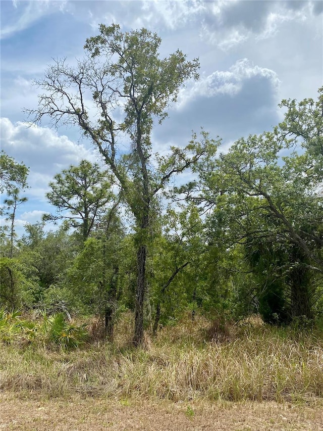 12440 Meinert Ave, Brooksville, FL 34613