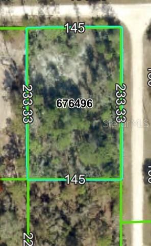LOT4 Florida Wren Ave, Brooksville, FL 34614 - photo 1