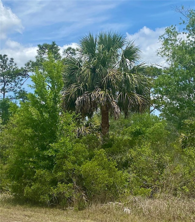 18484 Parallel Rd, Weeki Wachee, FL 34614