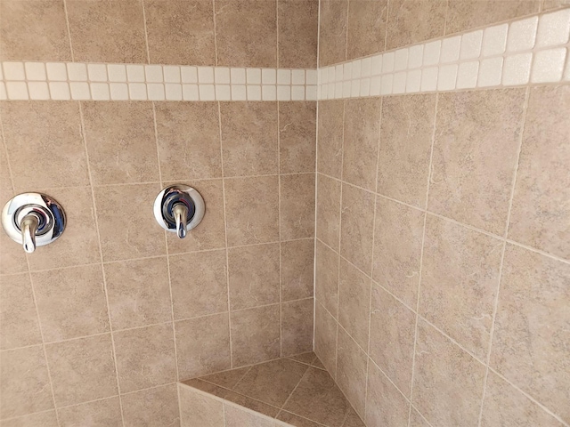 21008 Sunpoint Way Unit 204, Lutz, FL 33558 - full bath featuring tiled shower