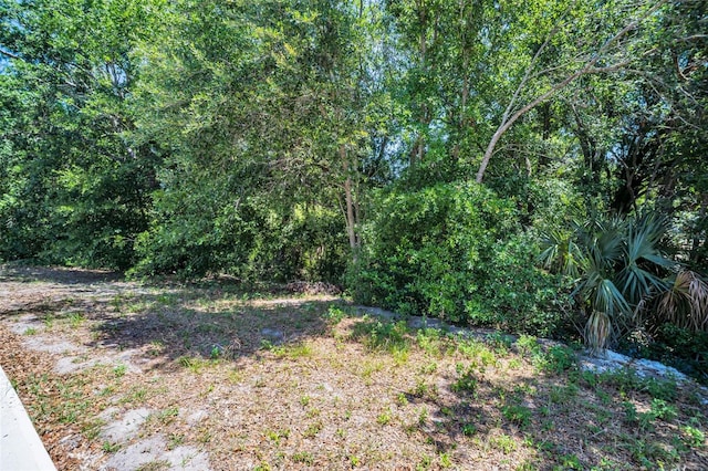 2660 Orangewood Ct, Palm Harbor, FL 34684 - view of landscape