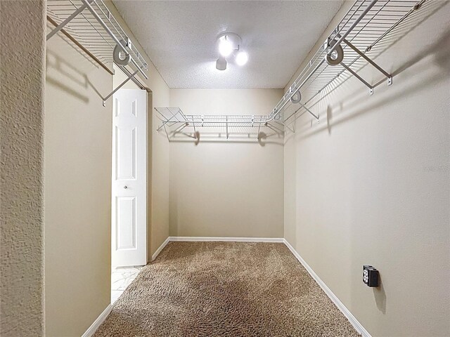 spacious closet with carpet flooring