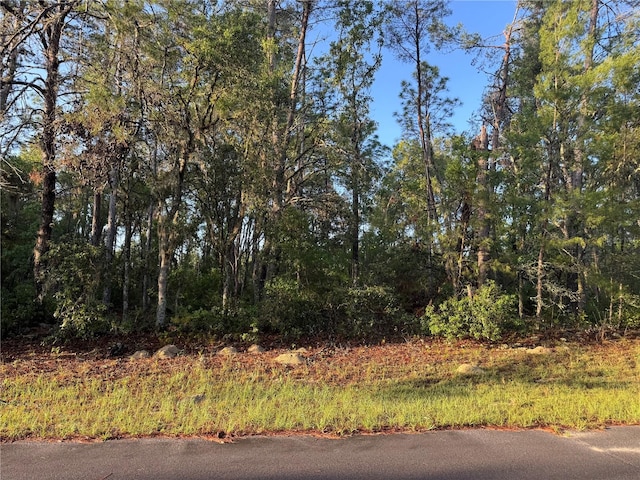 2 SW 179th Pl, Ocala FL, 34473 land for sale