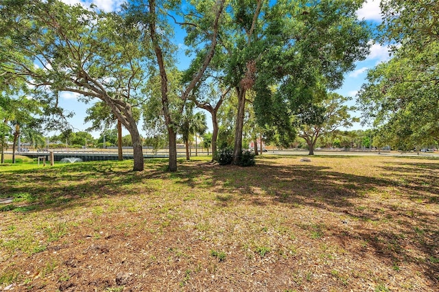 view of yard