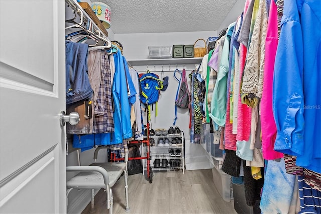walk in closet featuring wood finished floors