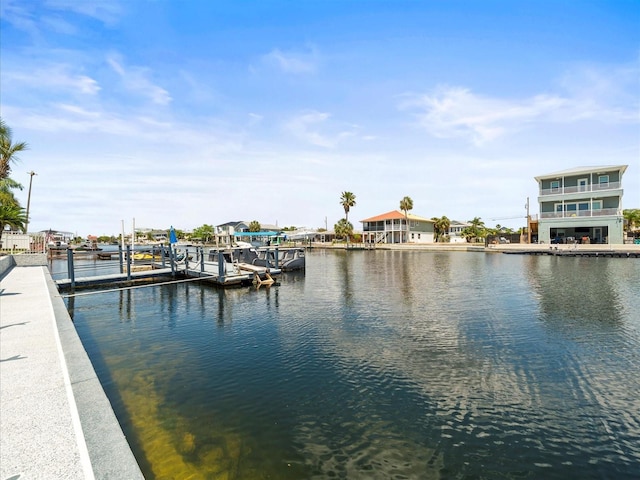 dock area with a water view