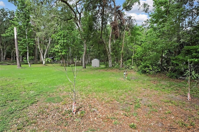 5113 Cedar Ln, Brooksville, FL 34601 - photo 29