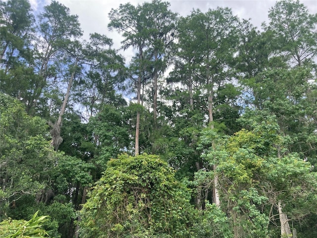 2850 Westmoreland Ct, New Port Richey, FL 34655 - view of wooded area