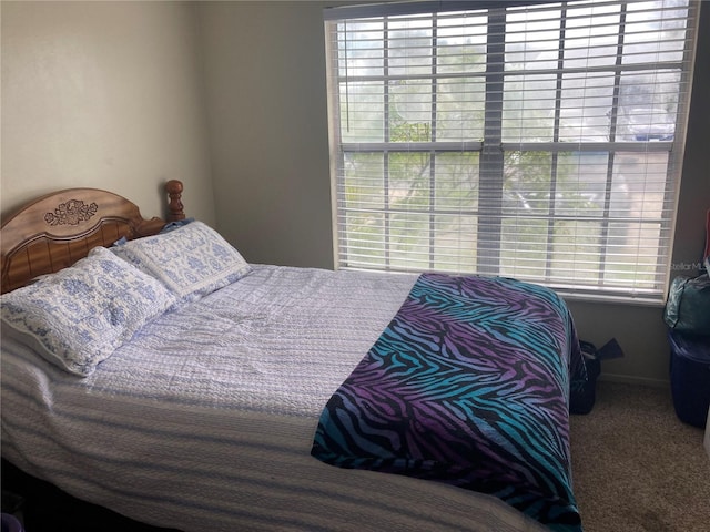 2850 Westmoreland Ct, New Port Richey, FL 34655 - bedroom featuring carpet floors