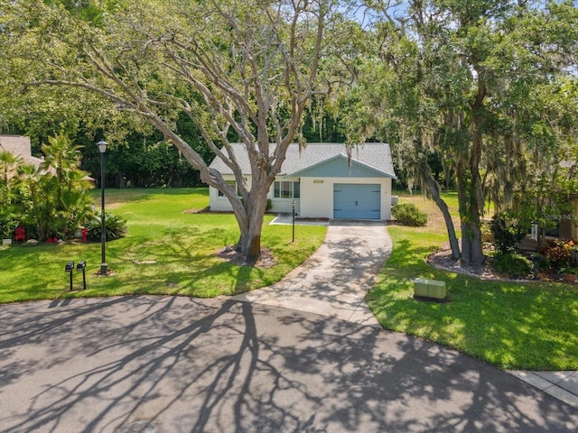 11512 Yellow Birch Ct, New Port Richey, FL 34654 - ranch-style house featuring a front lawn, a garage, asphalt driveway, and view of wooded area
