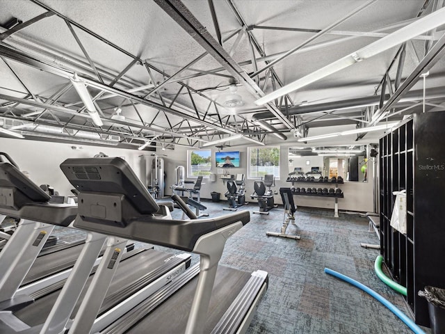 11512 Yellow Birch Ct, New Port Richey, FL 34654 - exercise room with carpet