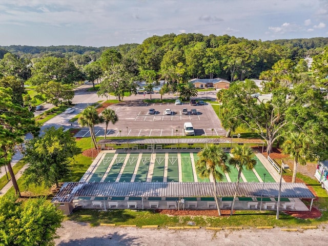 11512 Yellow Birch Ct, New Port Richey, FL 34654 - bird's eye view of a heavily wooded area