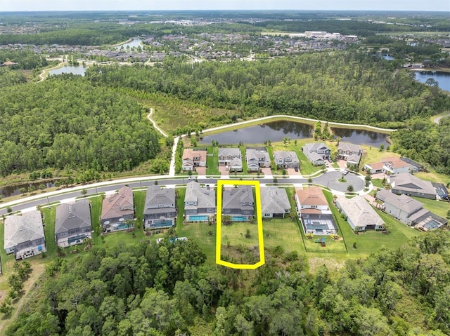 12539 Wetmore Ct, Odessa, FL 33556 - photo 4