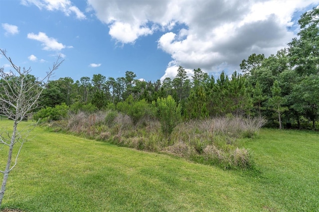 12539 Wetmore Ct, Odessa, FL 33556 - photo 55