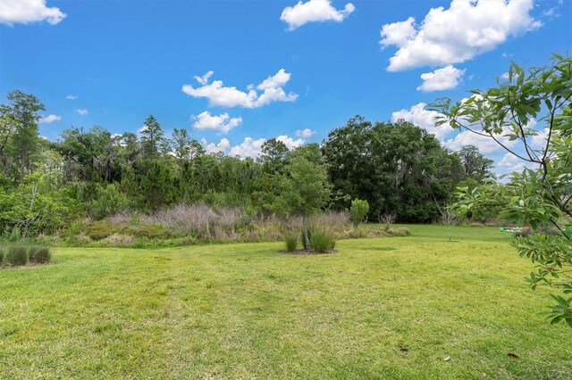 12539 Wetmore Ct, Odessa, FL 33556 - photo 60