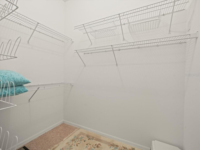 9216 Tarleton Cir, Weeki Wachee, FL 34613 - view of spacious closet