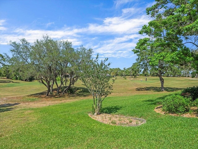 9216 Tarleton Cir, Weeki Wachee, FL 34613 - view of property's community with a lawn