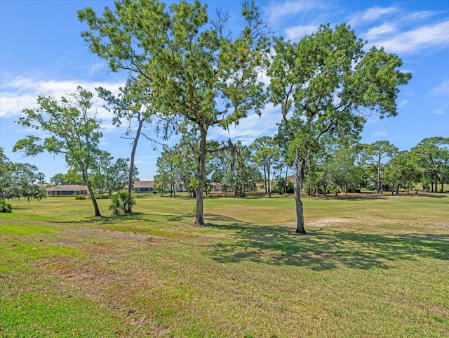 9216 Tarleton Cir, Weeki Wachee, FL 34613 - view of yard