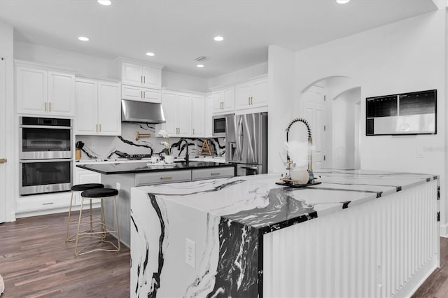 4188 Barbour Trl, Odessa, FL 33556 - kitchen featuring appliances with stainless steel finishes, a large island, under cabinet range hood, dark wood-type flooring, and recessed lighting
