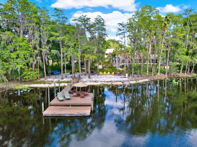 4541 School Rd, Land O Lakes, FL 34638 - photo 8