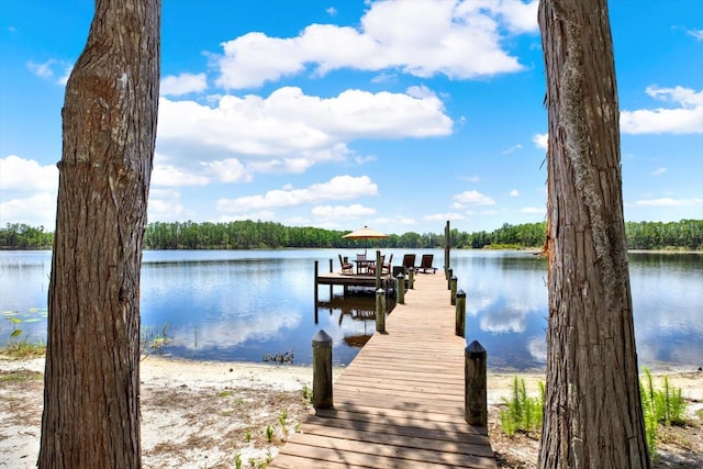 4541 School Rd, Land O Lakes, FL 34638 - photo 57