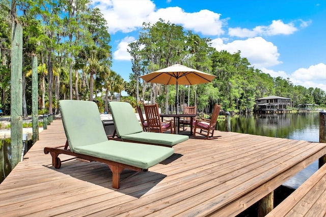 4541 School Rd, Land O Lakes, FL 34638 - photo 58
