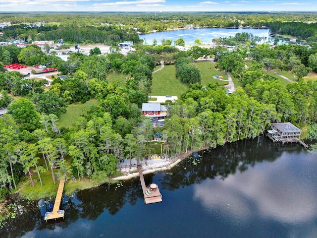 4541 School Rd, Land O Lakes, FL 34638 - photo 68