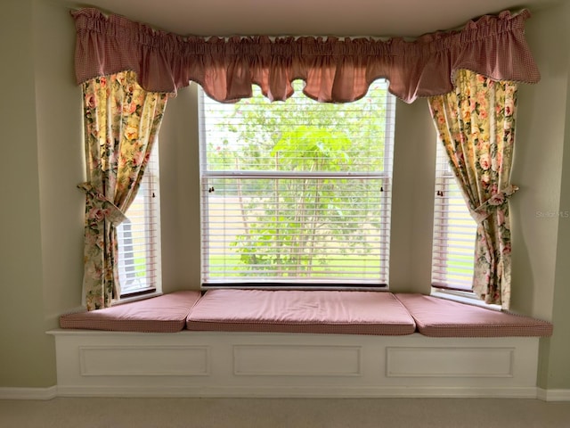 bedroom / living area view