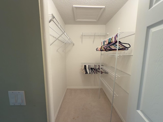 spacious closet featuring light carpet and attic access