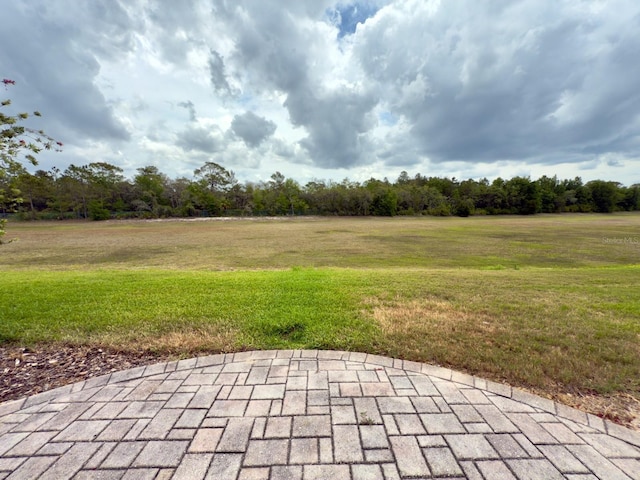 view of patio / terrace with a view of trees