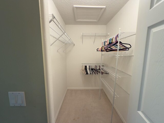 18418 Bent Pine Dr, Hudson, FL 34667 - photo 20