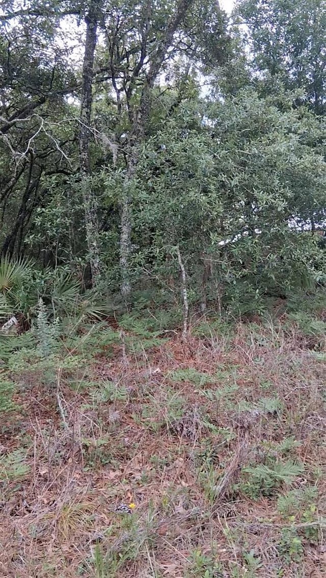 5887/5899 N Bedstrow Blvd, Dunnellon FL, 34434 land for sale