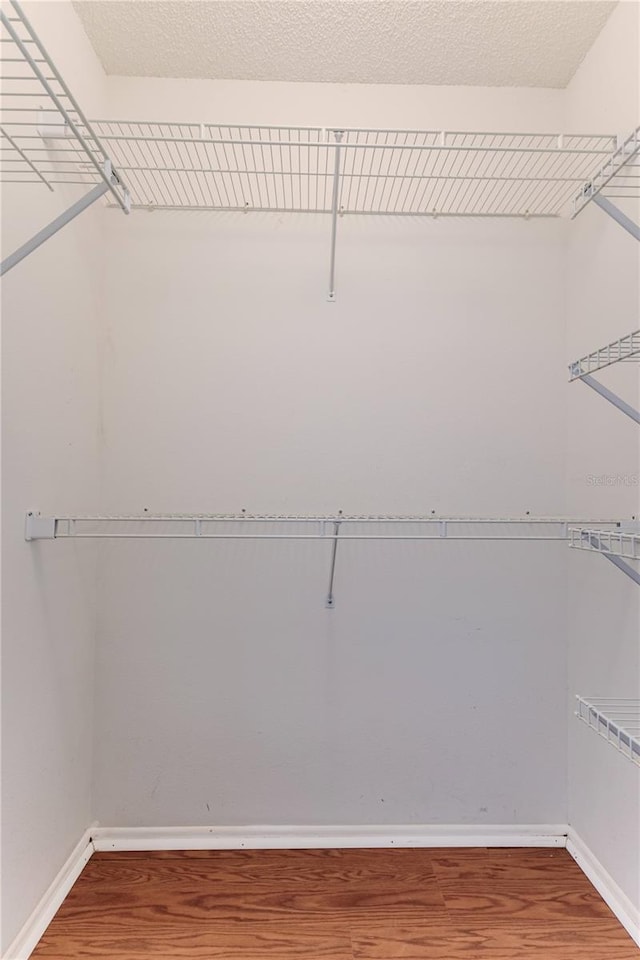 spacious closet featuring wood finished floors