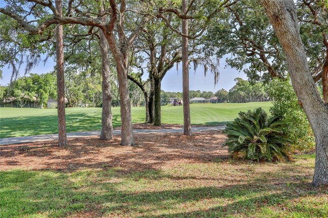 view of green lawn