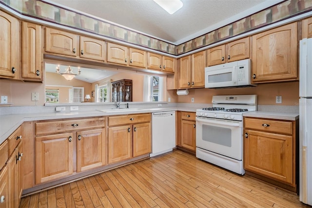 1053 Winding Willow Dr, Trinity, FL 34655 - kitchen featuring white appliances, a sink, light countertops, and a textured ceiling