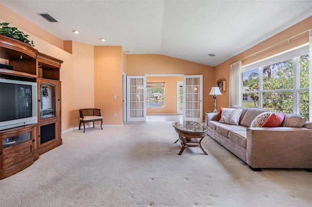 1053 Winding Willow Dr, Trinity, FL 34655 - living room with carpet floors, vaulted ceiling, a textured ceiling, and baseboards