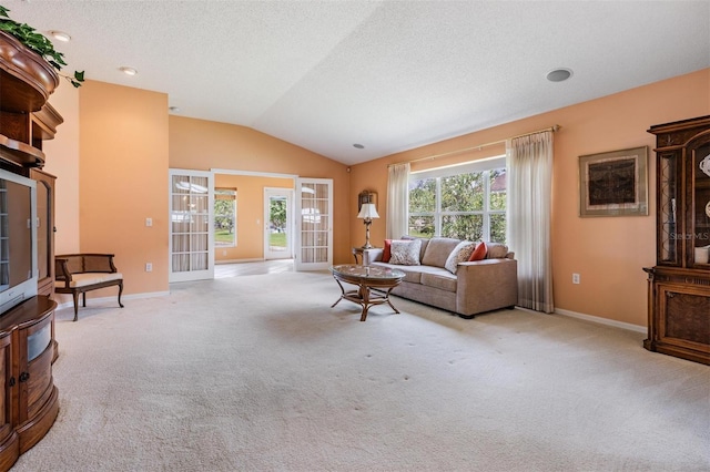 1053 Winding Willow Dr, Trinity, FL 34655 - living area featuring french doors, plenty of natural light, lofted ceiling, carpet floors, and baseboards