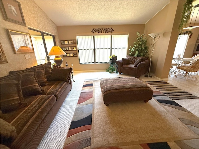 9311 Haas Dr, Hudson, FL 34669 - living area featuring vaulted ceiling, a textured ceiling, and baseboards