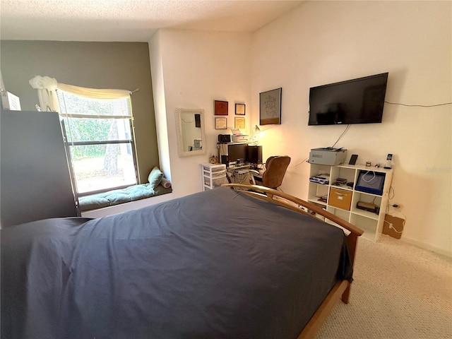 9311 Haas Dr, Hudson, FL 34669 - view of carpeted bedroom