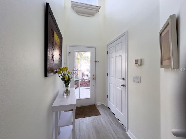 foyer featuring wood finished floors, baseboards, and a towering ceiling